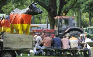 Des agriculteurs manifestent à Bruxelles, vendredi 19 juin