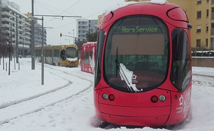 Des tramways bloqués par la neige à Montpellier.