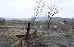 Un « paysage défiguré », s’inquiète un maire après l’incendie dans l’Aude