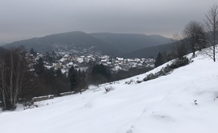 Dans le massif des Vosges, en Alsace (illustration).