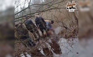 Le cerf tué samedi par un équipage de chasse à courre à Compiègne.