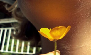 "T'aimes le beurre !": un jeu enfantin consistant à brandir un bouton-d'or sous le menton d'un camarade avant d'affirmer que le reflet sur la peau "prouve" qu'il l'aime a été élucidé mercredi par des scientifiques de l'université de Cambridge.