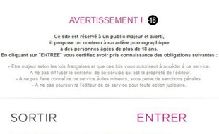 Capture d'écran: Avertissement précédant l'entrée sur un site pornographique.