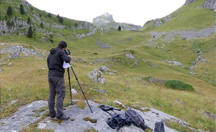 L'association Cistude nature coordonne le programme Les sentinelles du climat sur le réchauffement climatique et la biodiversité en Nouvelle-Aquitaine.