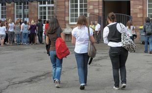 Lorraine: Après les vers, ce sont des puces qui envahissent un lycée de Toul (illustration)