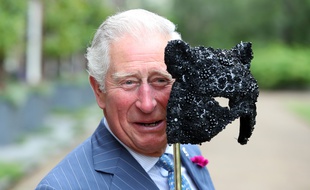 Le prince Charles, futur agent secret ?