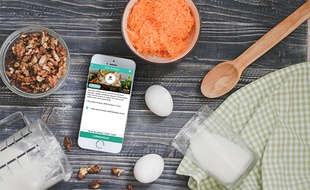 Depuis juin 2016, Too Good To Go s'attaque au gâchis alimentaire, comme d'autres start-up françaises.