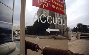 Illustration de l'hôtel de région Languedoc-Roussillon, le 20 novembre 2014 à Montpellier.