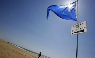 L'écolabel Pavillon bleu récompense cette année 136 communes en France, représentant au total 377 plages, pour la qualité de leurs eaux de baignade et leurs efforts pour respecter l'environnement, avec quinze nouveaux lauréats, dont huit sur la façade atlantique et la Manche.