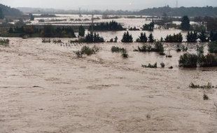 Inondations dans les vignobles près de Portel-des-Corbières le 30 novembre 2014