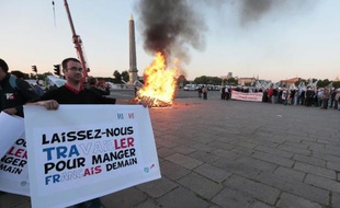 "Laissez-nous travailler pour manger français demain", demandent les agriculteurs réunis sur la place de la Concorde, à Paris, le 24 juin 2014