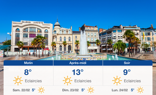 Météo Pau: Prévisions du vendredi 21 février 2020