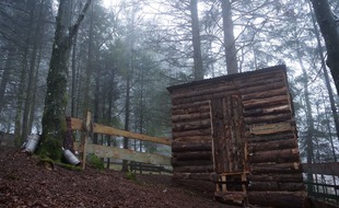 « Forestscape » est organisé sur un terrain de 30 ares avec une partie de forêt.
