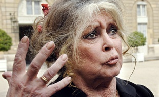 Brigitte Bardot à l'Elysée, le 27 septembre 2007.