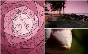 Vos plus belles photos et illustrations pour octobre rose