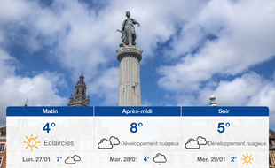 Météo Lille: Prévisions du dimanche 26 janvier 2020