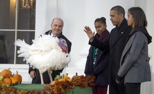 Le président des Etats-Unis Barack Obama a symboliquement gracié mercredi une dinde à l'occasion de la fête de Thanksgiving, une tradition folklorique solidement enracinée à la Maison Blanche.