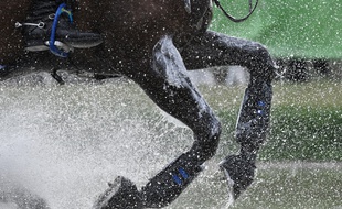 Illustration équitation