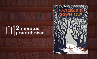 Watership Down de Richard Adams, Monsieur Toussaint Louverture