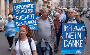 Manifestants de l'AFD en Allemagne.