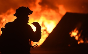 Des pompiers luttent contre un feu de forêt à Oroville, en Californie (Etats-Unis), le 9 juillet 2017.