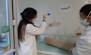 Le film plastique Coversafe de l'entreprise Pylote s'adapte à tous les supports.