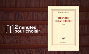 «Tropique de la violence» de Nathacha Appanah (Gallimard)