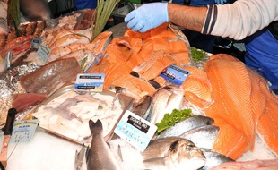 Un poissonnier biarrot est soupçonné de trafic de stupéfiants.