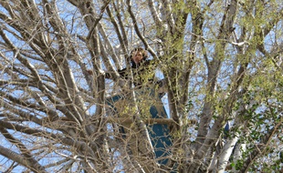 Marseille, le 30 mars 2015, une nouvelle ZAD pour protéger le parc de La Chanterelle.