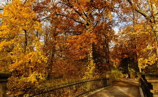 Promenade d'automne dans les jardins de Frederiksberg, Copenhague Danemark en novembre 2014