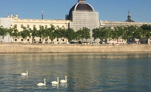 Le 20 juillet 2017 à Lyon. Vue de l'Hôtel-Dieu en chantier depuis les berges du Rhône.