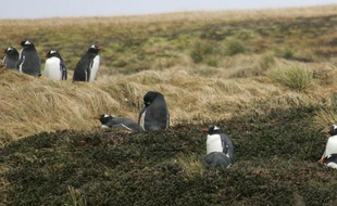 Changement climatique, ressources halieutiques, hydrocarbures et minerais rares des abysses: les océans détiennent les clés d'enjeux majeurs du XXIe siècle, et la France dispose d'un atout avec une implantation sur tout le gradient de l'océan indien.