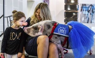 Lilou la truie distrait les passagers à l'aéroport de San Francisco