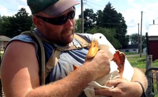 Capture d'écran d'une vidéo du journal «Coshocton Tribune», montrant le vétéran américain Darin Welker et l'un de ses «canards thérapeutiques».