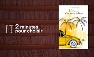 L'odyssée d'un coeur cabossé