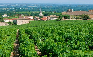 Vue du Beaujolais.