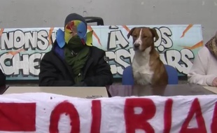 le chien de Tolbiac le 5 avril 2018 dans une vidéo sur Facebook.