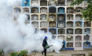 Un homme vaporise un produit anti-moustique aux abords de Lima, le 15 janvier 2016