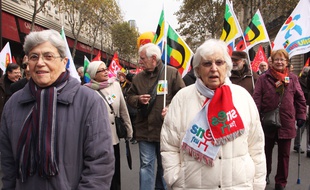 A la manifestation contre la réforme des retraites, le 26 novembre 2013, à Paris.