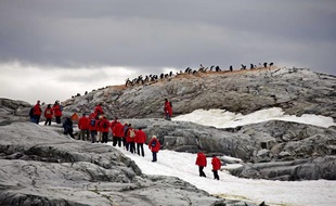 Touristes et manchots papous sur l'ile Petermann, en Antarctique, en 2009.