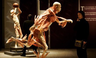 Quoi qu'il en soit, le résultat est extrêmement spectaculaire et suscite un vif intérêt sur tous les continents où sont présentées ces expositions itinérantes.