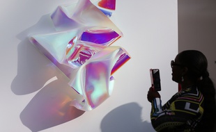 Une oeuvre audacieuse présentée à la Fiac de Paris en 2019