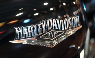 Le logo de la marque Harley-Davidson sur une moto (image d'illustration).