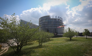 Strasbourg le 14 04 2014. Drapeaux europeens, parlement europenn Strasbourg. Illustrations.