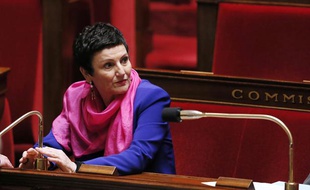 La ministre de la Famille Dominique Bertinotti, le 5 février 2014.