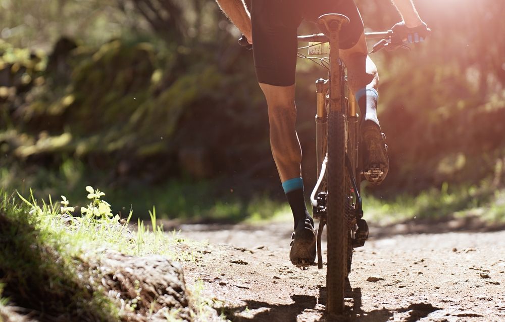 Bon plan Darty : Le top 3 des vélos à shopper pour vos balades en forêt