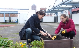 Odile Clément et Anaïs Depont présentent le potager qu'elles ont installé sur le toit de l'école Jean Couty, dans le 6e arrondissement de Lyon.