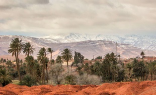 Phénomène climatique très rare, de la neige tombe sur la ville de Ain Sefra (Algérie) dans le désert du Sahara, le 21 janvier 2017.