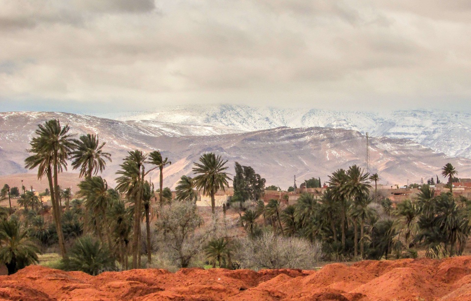 L'HUMANITÉ CONTRE LE VIVANT ? ET LE CAPITAL ? 960x614_phenomene-climatique-tres-rare-neige-tombe-ville-ain-sefra-algerie-desert-sahara-21-janvier-2017