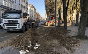 Du fumier déversé devant la préfecture du Nord à Lille.